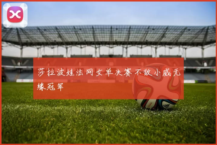 莎拉波娃法网女单决赛不敌小威无缘冠军